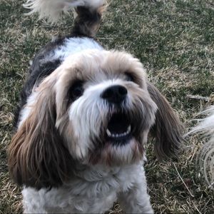 Meet your Posher, Layla